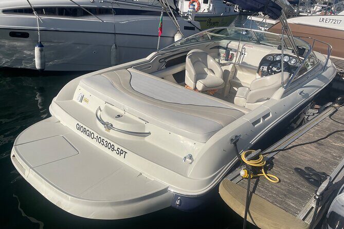 Private Rental Cruise in Porto - Who Will Love This Cruise?