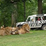 Private Return Transfer Thoiry Zoo Safari from Paris - The Sum Up