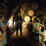 Private Rioja wine tasting tour with local lunch - Exploring the Rioja Experience: A Deep Dive