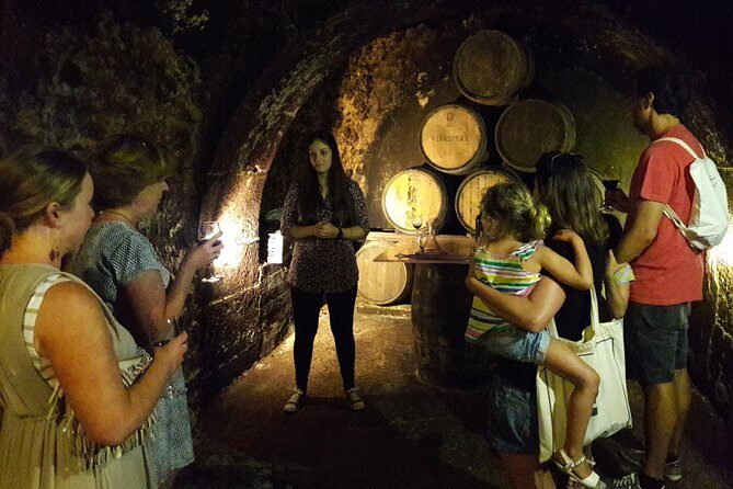 Private Rioja wine tasting tour with local lunch - Exploring the Rioja Experience: A Deep Dive