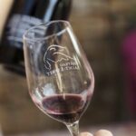 Private Saint-Tropez Peninsula Wine Tour - What’s Included and What to Consider