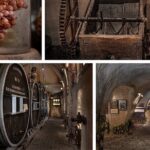 Private Santorini Full-day land Tour - The Experience of a Lifetime: What Others Say