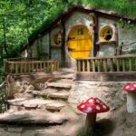 Private Sapanca and Masukiye Tour from Istanbul - What We Love About This Tour