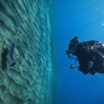 Private Scuba Diving in Tenerife  Certified Instructor & Photos - The Location: Los Cristianos Dive Site