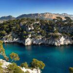 Private Shore Excursion: Aix, Marseille, and Cassis Driver Guides - Authentic Insights from Reviewers