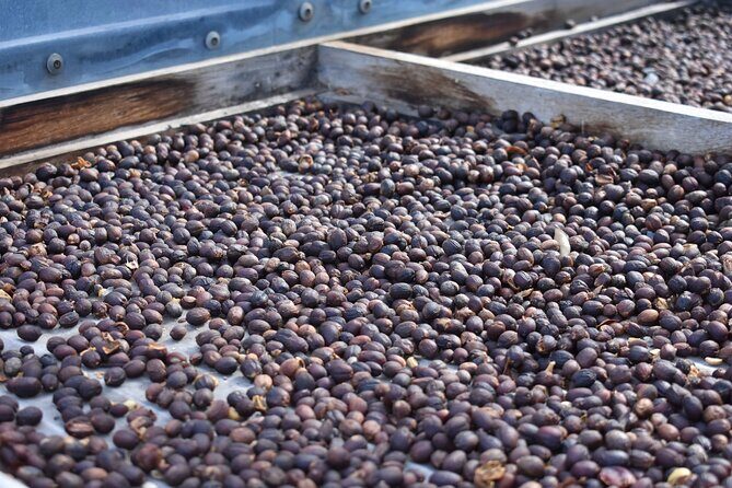 Private Shore Excursion in Gran Canaria - FAQ