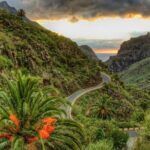 Private Shore Excursion in Tenerife from your Cruise Ship - What’s Included and What’s Not