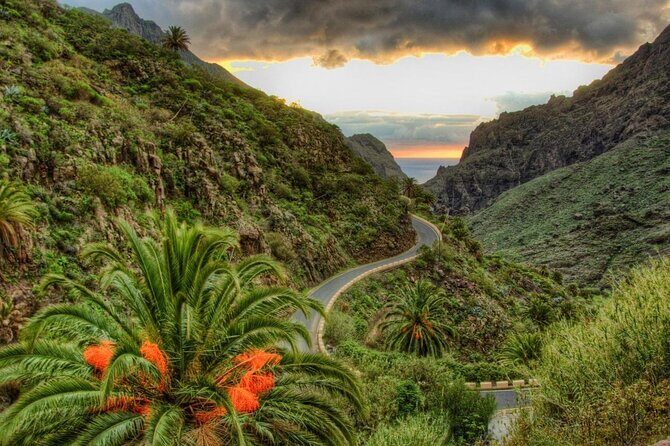 Private Shore Excursion in Tenerife from your Cruise Ship - What’s Included and What’s Not