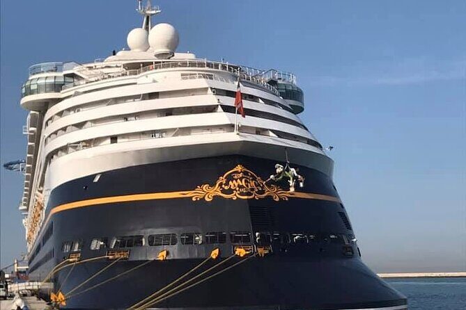 Private Shore Excursion Livorno Port "Discovery Pisa & Florence" - Who Would Love This Tour?