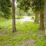 Private Shore Excursion Visit in Corfu with private driver. - Practical Details & Considerations