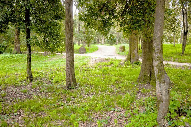 Private Shore Excursion Visit in Corfu with private driver. - Practical Details & Considerations