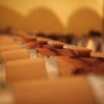 Private Siena to Florence Chianti and San Gimignano Transfer Tour - Who Will Love This Tour?