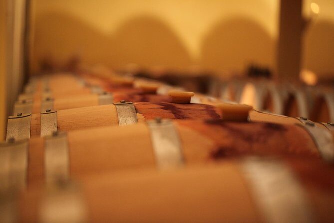 Private Siena to Florence Chianti and San Gimignano Transfer Tour - Who Will Love This Tour?