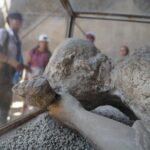 Private Skip-the-Line Pompeii & Mt. Vesuvius Tour from Positano - Who Will Love This Tour?