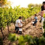 Private Small Group Full Day Tour- Montserrat and Cava Visit with Lunch and Transportation - Final Thoughts