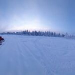 Private Snowmobile Experience in Rovaniemi's Forest - What to Expect from the Tour