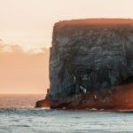 Private South Coast Tour: A Journey to Icelands Stunning Shore - Who Will Love This Tour?