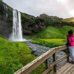 Private South Coast Tour in Multi-Language Guide Options - Stop 1: Seljalandsfoss Waterfall