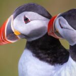 Private South Coast Tour with a Professional Photographer/Guide - Who Is This Tour Best For?