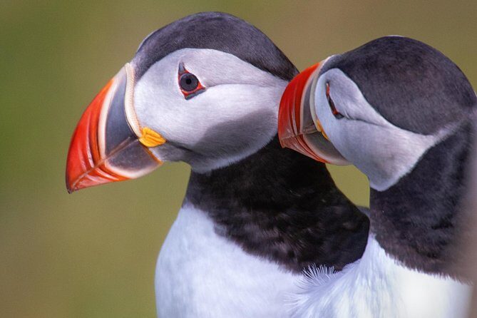 Private South Coast Tour with a Professional Photographer/Guide - Who Is This Tour Best For?