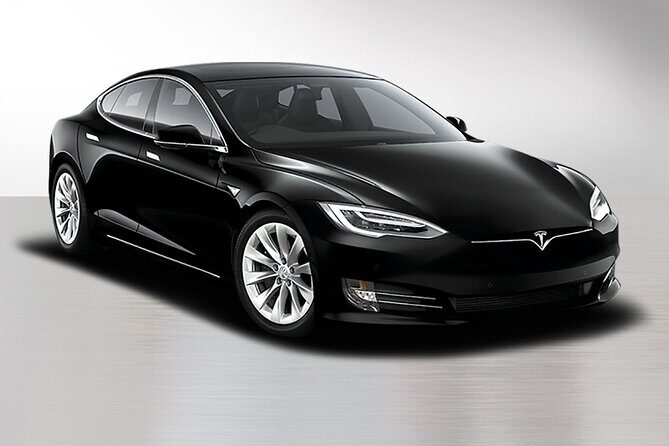 Private South Tenerife Airport Transfer to South Hotels - Who Should Consider This Transfer?