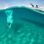 Private Speedboat Cruise from Delos to Rhenia and Mykonos - The Itinerary Breakdown