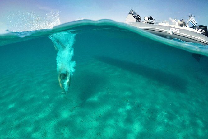 Private Speedboat Cruise from Delos to Rhenia and Mykonos - The Itinerary Breakdown