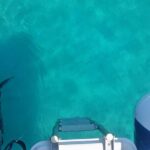 Private Speedboat tour "Zadar Islands - Off the Beaten Path" - Deep Dive into the Experience