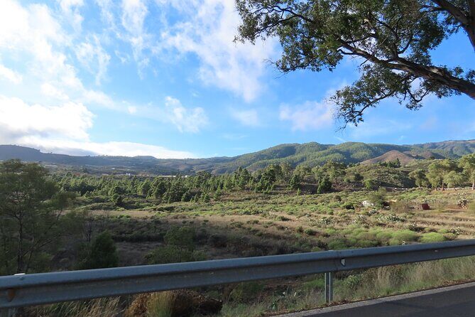 Private Sunset Tour in Tenerife - The Practical Side