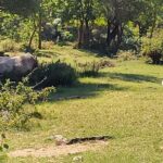 Private Swimming at Waterfalls and Kayaking through the Canyon - Who Will Love This Tour?