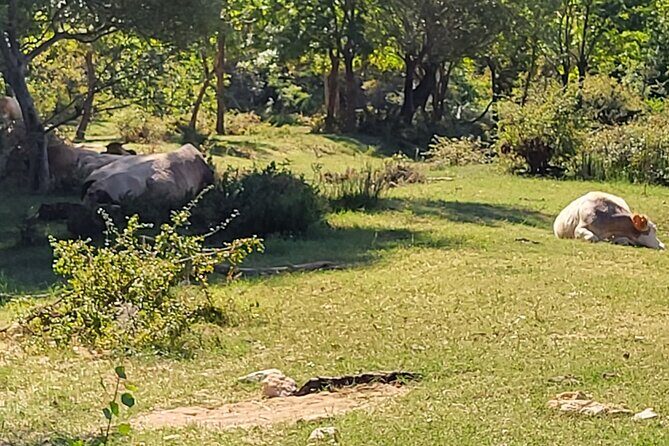 Private Swimming at Waterfalls and Kayaking through the Canyon - Who Will Love This Tour?