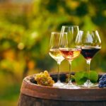 Private Tailored Full-Day Taste Tour in Lefkada with Pick Up - Karya: Wine Tasting in a Family-Owned Winery