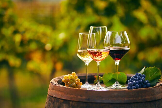 Private Tailored Full-Day Taste Tour in Lefkada with Pick Up - Karya: Wine Tasting in a Family-Owned Winery