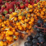 Private Taste of Helsinki and Suomenlinna - The Experience from the Guest Perspectives