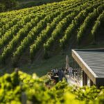 Private Tasting Expedition Along Romanias Most Famous Wine Route - Price & Value Analysis