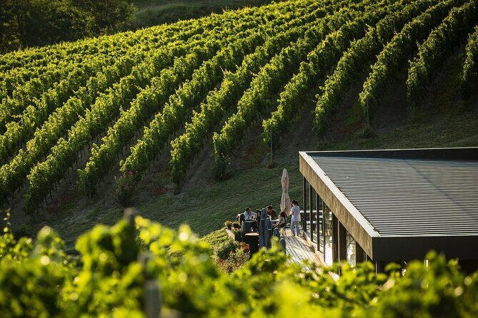 Private Tasting Expedition Along Romanias Most Famous Wine Route - Price & Value Analysis