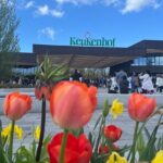 Private Taxi to Keukenhof Tulip Fields & Flowers From Amsterdam - Who Is This Tour Best For?