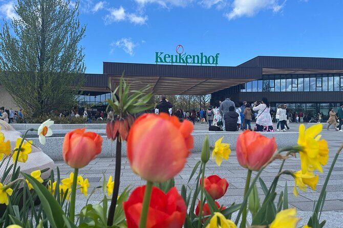 Private Taxi to Keukenhof Tulip Fields & Flowers From Amsterdam - Who Is This Tour Best For?