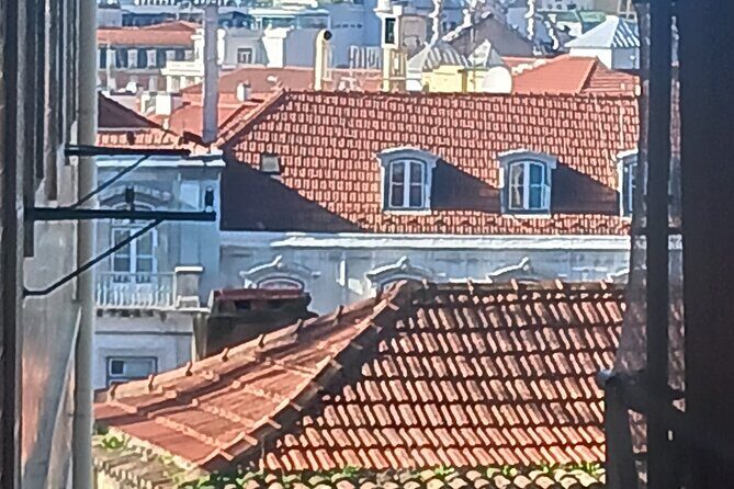 Private Tour - African History in Lisbon - What You Can Expect From the Experience