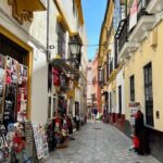 Private Tour Alcazar Seville Cathedral and Giralda Tower Climb - Practical Details and What You Should Know