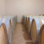 Private Tour and Tasting at Zeginis Winery - The Introductory Welcome and Personal Touch