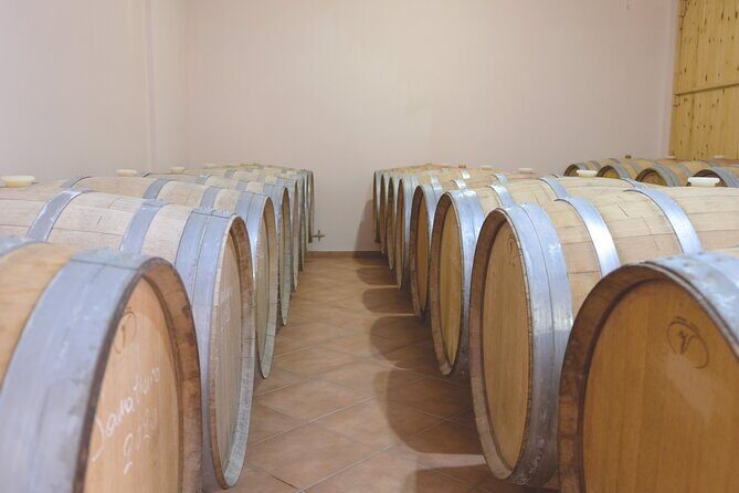 Private Tour and Tasting at Zeginis Winery - The Introductory Welcome and Personal Touch
