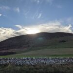 Private Tour - Anglo-Saxon Northumberland - Why This Tour Offers Real Value