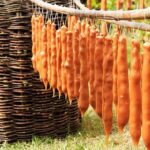 Private Tour around Kakheti, Bodbe, Sighnaghi and Telavi - Authentic Experiences & Value