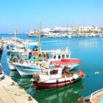 Private Tour at the Palace of Knossos and Museum in Crete - Who Will Love This Tour?