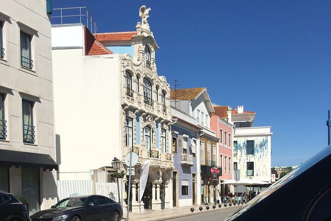 Private tour Aveiro & Coimbra + Moliceiro Tour - Practical Details for Your Trip