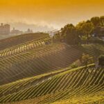 Private Tour: Barolo Wine Tasting in Langhe area from Torino - Who Should Consider This Tour?