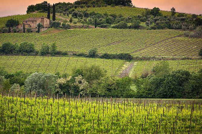 Private tour Brunello di Montalcino and Nobile di Montepulciano wine experience in Tuscany - What the Reviews Tell Us