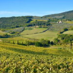 Private Tour: Chianti Region Tour by Minivan - Transportation and Comfort