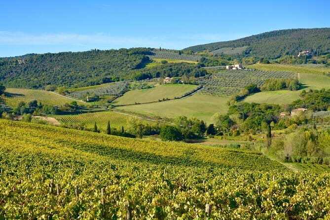 Private Tour: Chianti Region Tour by Minivan - Transportation and Comfort